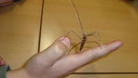 DSC01151.JPG