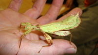 DSC01156.JPG