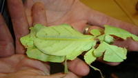 DSC01158.JPG