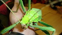 DSC01160.JPG