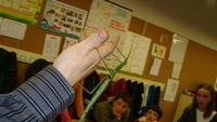 DSC01165.JPG