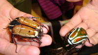DSC01172.JPG