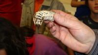 DSC01176.JPG