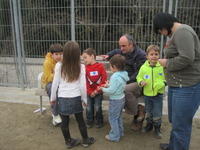 alzinar i handbol 02-11 016.JPG
