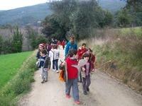 Carnestoltes 022.jpg